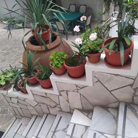 Каламанди Asenovgrad Buitenkant foto