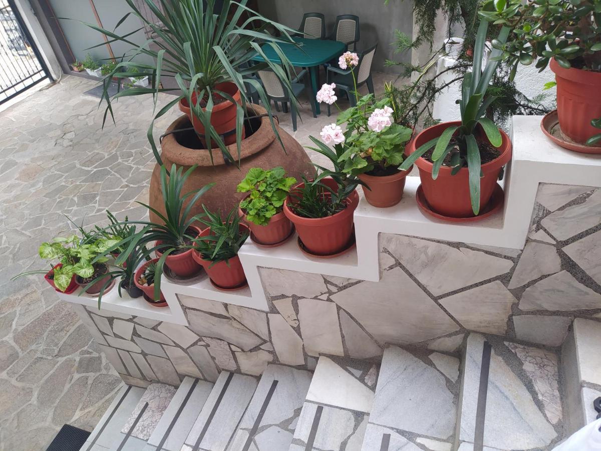 Каламанди Asenovgrad Buitenkant foto